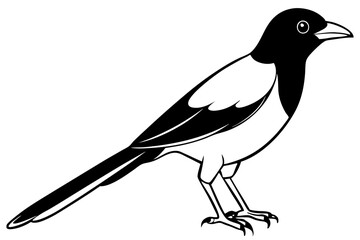oriole silhouette line art vector illustration with a white background