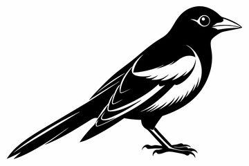 Obraz premium oriole silhouette line art vector illustration with a white background