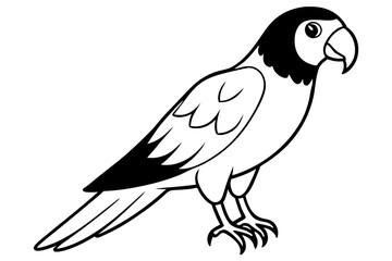 parrot silhouette line art vector illustration with a white background
