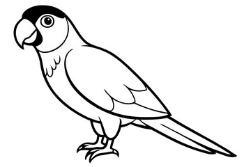 parrot silhouette line art vector illustration with a white background