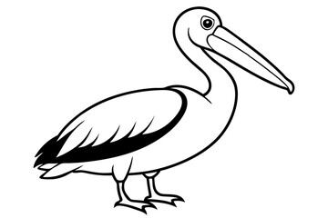 pelican silhouette line art vector illustration with a white background