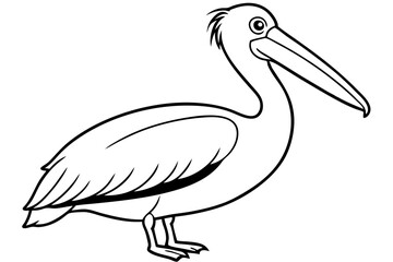 pelican silhouette line art vector illustration with a white background