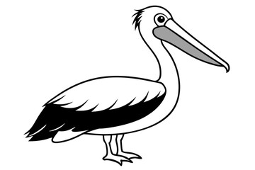 pelican silhouette line art vector illustration with a white background