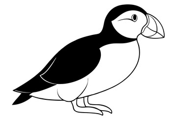 puffin silhouette line art vector illustration with a white background