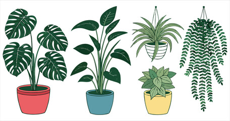 Stylized indoor plant collection