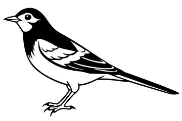 skylark silhouette line art vector illustration with a white background