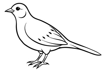 skylark silhouette line art vector illustration with a white background