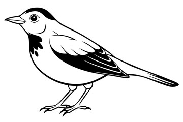 skylark silhouette line art vector illustration with a white background