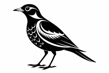 skylark silhouette line art vector illustration with a white background