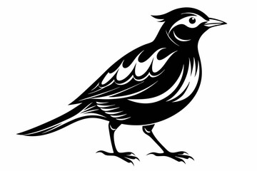 skylark silhouette line art vector illustration with a white background