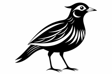 skylark silhouette line art vector illustration with a white background