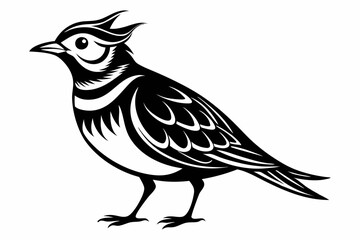 skylark silhouette line art vector illustration with a white background