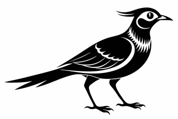 Obraz premium skylark silhouette line art vector illustration with a white background