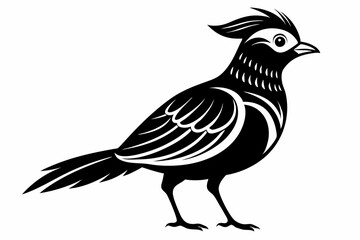 skylark silhouette line art vector illustration with a white background