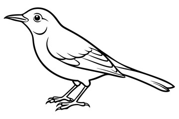 thrush silhouette line art vector illustration with a white background