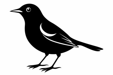 thrush silhouette line art vector illustration with a white background