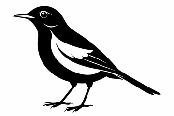 thrush silhouette line art vector illustration with a white background