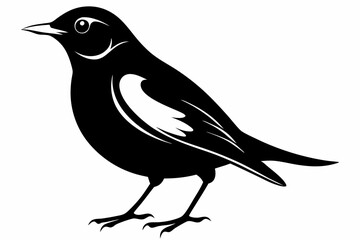 thrush silhouette line art vector illustration with a white background
