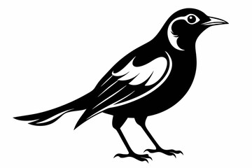 thrush silhouette line art vector illustration with a white background