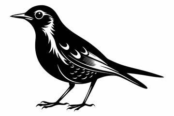thrush silhouette line art vector illustration with a white background