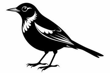 thrush silhouette line art vector illustration with a white background