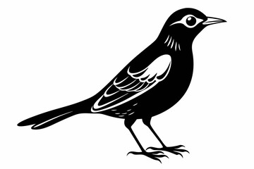 thrush silhouette line art vector illustration with a white background