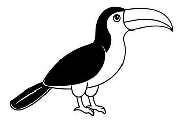 toucan silhouette line art vector illustration with a white background