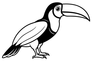 toucan silhouette line art vector illustration with a white background