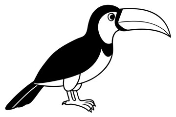 toucan silhouette line art vector illustration with a white background