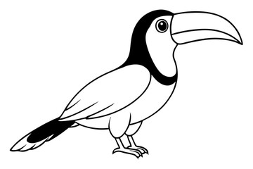 toucan silhouette line art vector illustration with a white background