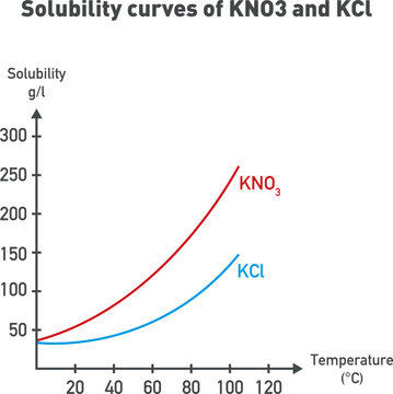 Solubility curves graph of KNO3 and KCl diagram. Scientific vector illustration isolated on white background.