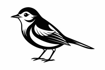 warbler silhouette line art vector illustration with a white background