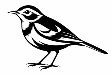 warbler silhouette line art vector illustration with a white background