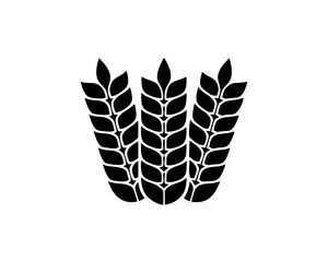 creative details Outline silhouette Wheat icon vector illustration 