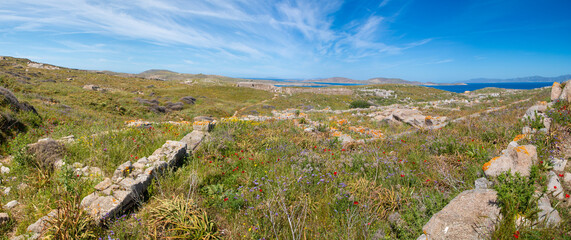 Delos island Archeological Site (in Greek Αρχαιολογικός Χώρος Δήλου) Landscape near Mykonos Island South Aegean Region (Südliche Ägäis) Greece