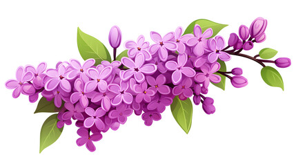 Spring Flowers: Delicate Fragrant Branch of Purple Blooms for Elegant Floral Design