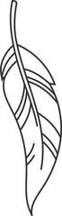 Minimalist line art illustrating a feather with an elongated stem and intricate vane, embodying lightness, flight, and the delicate beauty found in nature