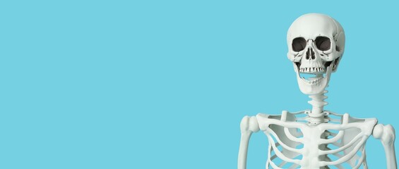 Human skeleton on blue background with space for text