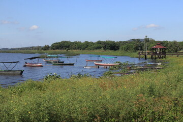 Small fishing boats along the shoreline of Lake Ypacaraí near Areguá, Paraguay