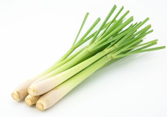 A bundle of fresh lemongrass stalks with green leaves on a white background ready for cooking