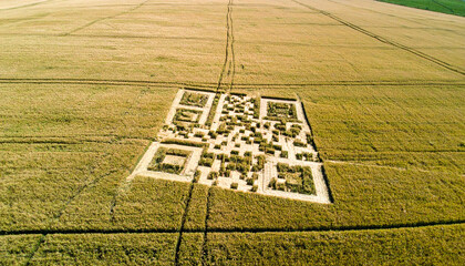 Obraz premium Crop circle forming a QR code .World UFO Day concept. Generated Image