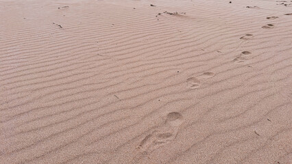 Footprints on sandy beach with ripples and minimalist natural patterns in serene coastal setting