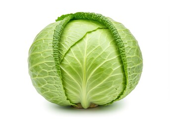Fototapeta premium A single green cabbage head with detailed leaf texture sits on a white background