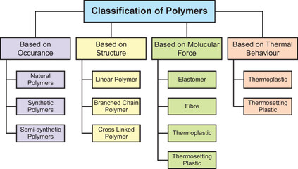 Polymer Classification Table.  Scientific design vector illustration on white background.
