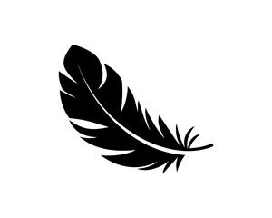 creative details Outline silhouette Feather icon vector illustration 