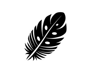 Obraz premium creative details Outline silhouette Feather icon vector illustration 