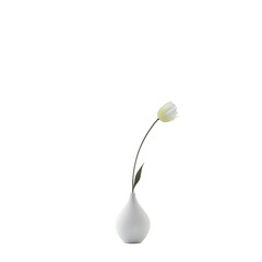 Elegant White Tulip in a Minimalist Vase for Modern Home Decor on transparent background