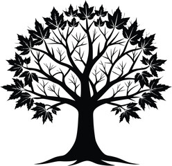 Obraz premium Silhouette of a Maple Tree with Leaves