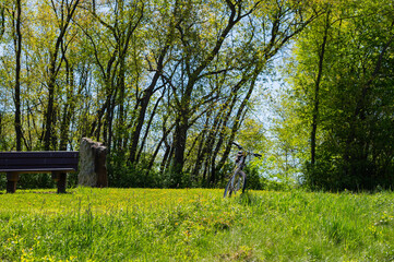 bicycle by a park bench, spring bloom, season activities health lifestyle, copy space background image