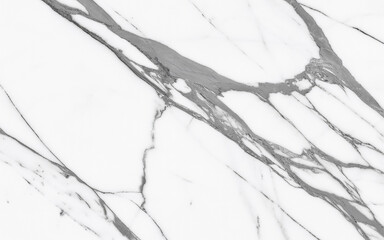 Statuario Marble with Crisp White Base and Dramatic Gray Veins